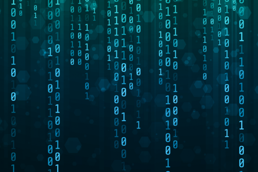 10 Bonnes pratiques pour être une cybervictime